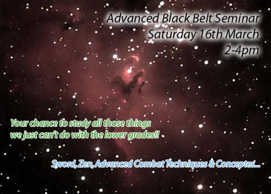 black belt seminar image